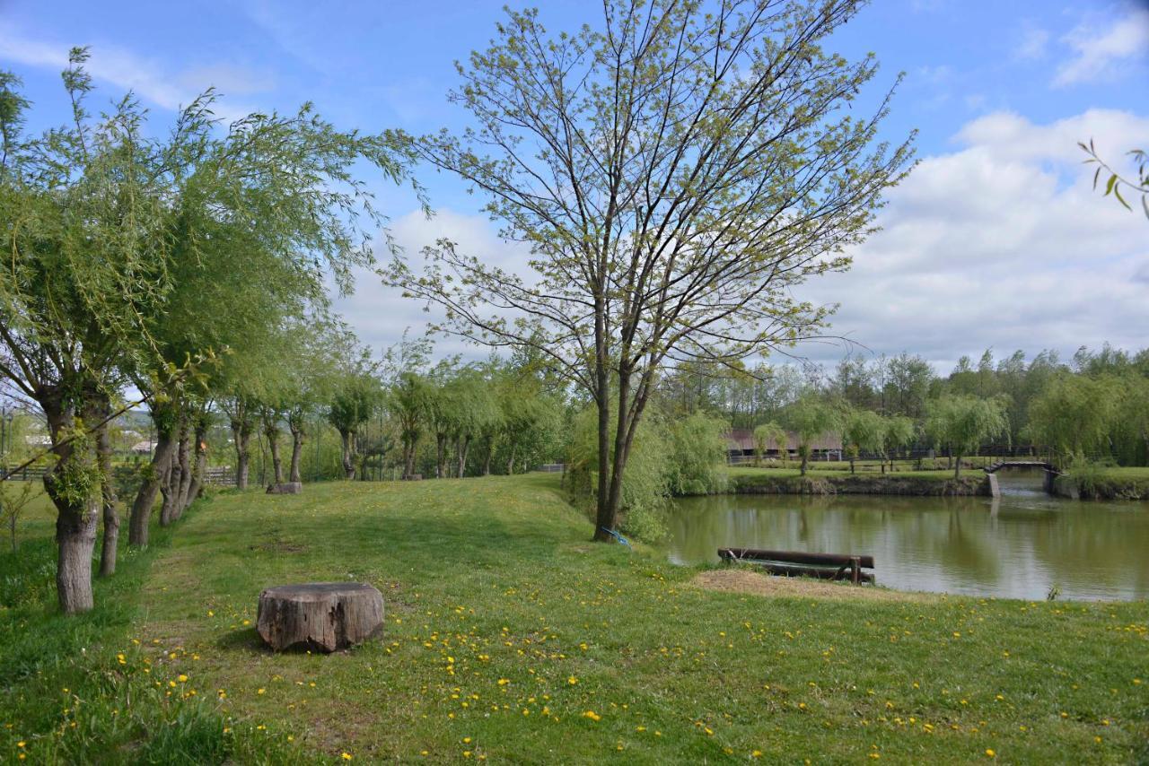 Oglinzi Pensiunea Paradisul Verde מראה חיצוני תמונה