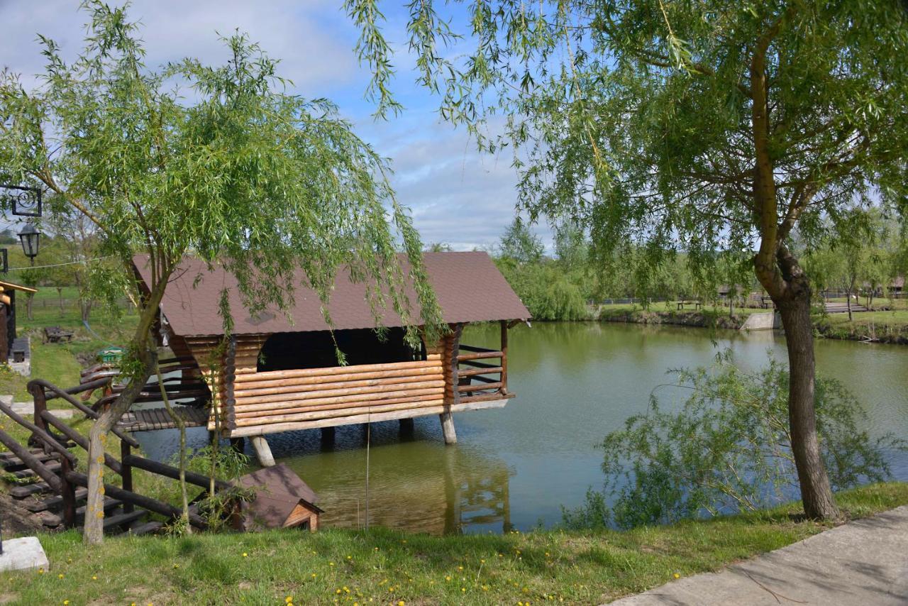 Oglinzi Pensiunea Paradisul Verde מראה חיצוני תמונה