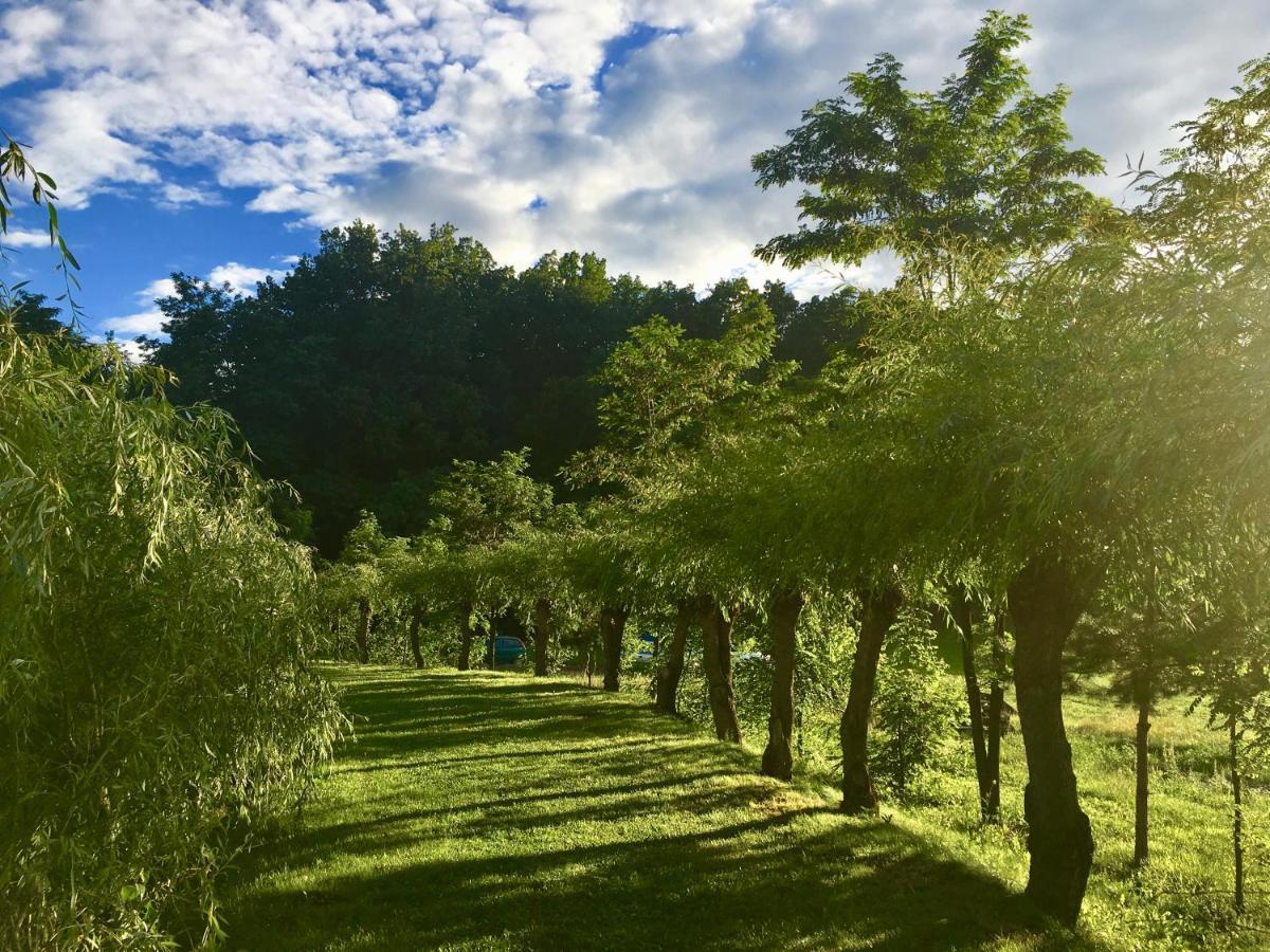 Oglinzi Pensiunea Paradisul Verde מראה חיצוני תמונה