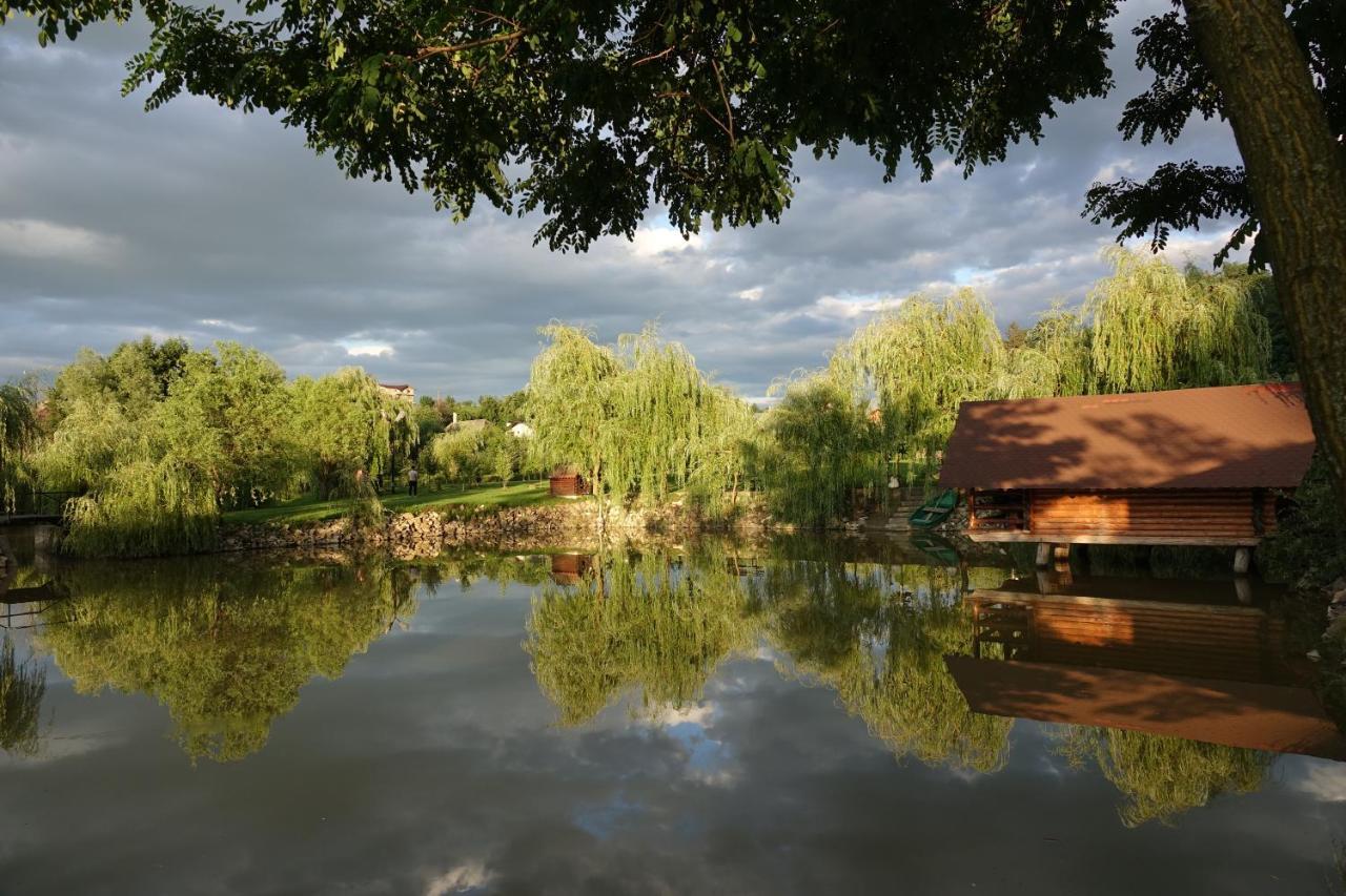 Oglinzi Pensiunea Paradisul Verde מראה חיצוני תמונה